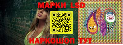 бошки Сланцы