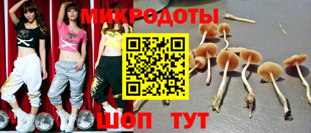 Псилоцибиновые грибы мицелий Новочебоксарск